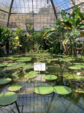 熱川バナナワニ園に投稿された画像（2026/2/28）