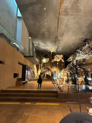 北九州市立自然史・歴史博物館（いのちのたび博物館）に投稿された画像（2026/2/28）