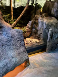 北九州市立自然史・歴史博物館（いのちのたび博物館）に投稿された画像（2026/2/28）