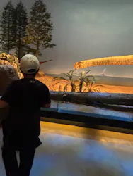 北九州市立自然史・歴史博物館（いのちのたび博物館）に投稿された画像（2026/2/28）