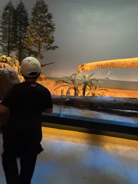 北九州市立自然史・歴史博物館（いのちのたび博物館）に投稿された画像（2026/2/28）