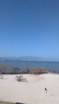 滋賀県立琵琶湖博物館に投稿された画像（2026/2/28）