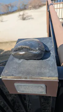 滋賀県立琵琶湖博物館に投稿された画像（2026/2/28）