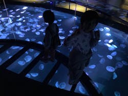 すみだ水族館に投稿された画像（2026/2/28）