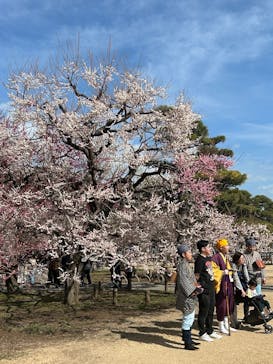 偕楽園本園に投稿された画像（2026/2/28）