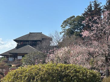 偕楽園本園に投稿された画像（2026/2/28）