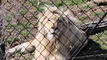 那須サファリパークに投稿された画像（2026/2/28）