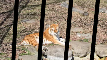 那須サファリパークに投稿された画像（2026/2/28）