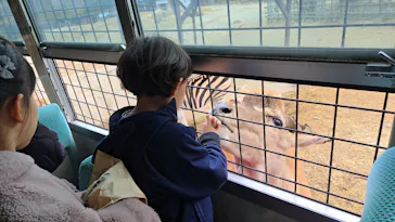 那須サファリパークに投稿された画像（2026/2/28）