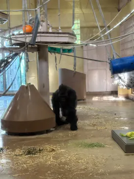 名古屋市東山動植物園に投稿された画像（2026/2/28）