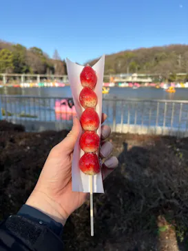 名古屋市東山動植物園に投稿された画像（2026/2/28）