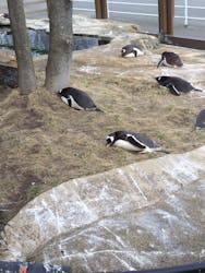 那須どうぶつ王国に投稿された画像（2026/2/28）