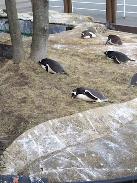 那須どうぶつ王国に投稿された画像（2026/2/28）