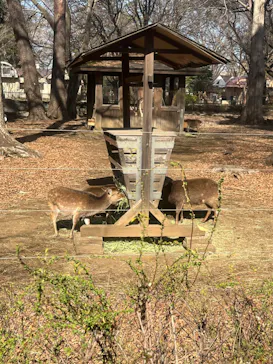 井の頭自然文化園に投稿された画像（2026/2/28）