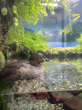 井の頭自然文化園に投稿された画像（2026/2/28）