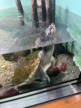 井の頭自然文化園に投稿された画像（2026/2/28）