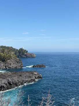 ニューヨークランプミュージアム＆フラワーガーデンに投稿された画像（2026/2/28）