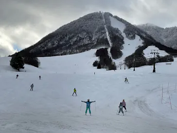 スノーリゾート　ロマンスの神様に投稿された画像（2026/2/28）