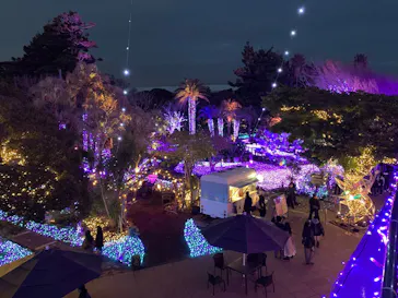 江の島シーキャンドルに投稿された画像（2026/2/28）