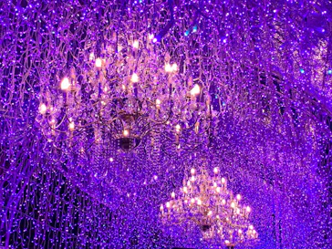 江の島シーキャンドルに投稿された画像（2026/2/28）