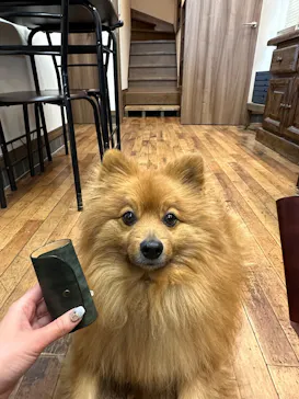 Countless River（カウントレスリバー）に投稿された画像（2026/2/28）