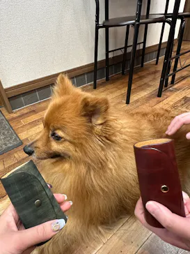 Countless River（カウントレスリバー）に投稿された画像（2026/2/28）