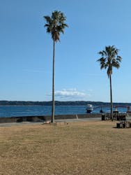 串本海中公園水族館に投稿された画像（2026/2/28）