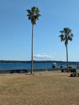 串本海中公園水族館に投稿された画像（2026/2/28）