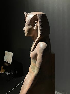 MYSTERY OF TUTANKHAMEN 体感型古代エジプト展に投稿された画像（2026/2/28）