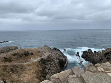 Compath（東尋坊ガイド）に投稿された画像（2026/2/28）