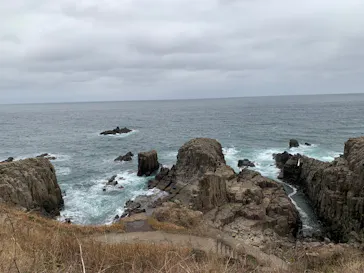 Compath（東尋坊ガイド）に投稿された画像（2026/2/28）