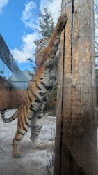 那須どうぶつ王国に投稿された画像（2026/2/28）