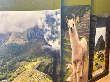 CREVIA マチュピチュ展／CREVIA MACHU PICCHU AND THE GOLDEN EMPIRES OF PERUに投稿された画像（2026/2/28）