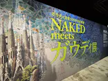 NAKED meets ガウディ展に投稿された画像（2026/2/28）