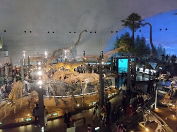 福井県立恐竜博物館に投稿された画像（2026/2/28）