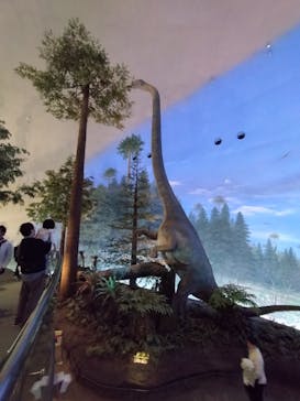 福井県立恐竜博物館に投稿された画像（2026/2/28）