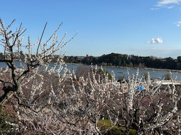 偕楽園本園に投稿された画像（2026/2/28）