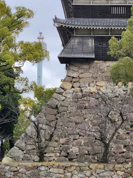広島城に投稿された画像（2026/2/28）