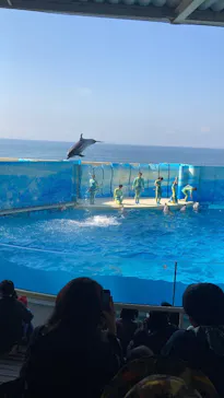 新江ノ島水族館に投稿された画像（2026/2/28）