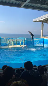 新江ノ島水族館に投稿された画像（2026/2/28）