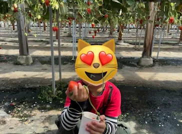 果実の里 原田農園に投稿された画像（2026/2/28）