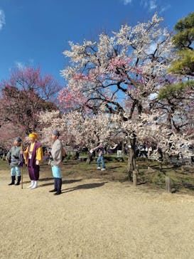 偕楽園本園に投稿された画像（2026/2/28）