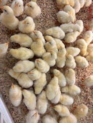 アニタッチ MARK IS 静岡に投稿された画像（2026/2/28）