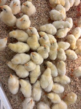 アニタッチ MARK IS 静岡に投稿された画像（2026/2/28）