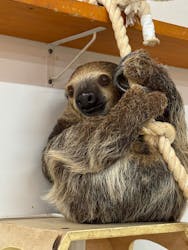 アニタッチ MARK IS 静岡に投稿された画像（2026/2/28）