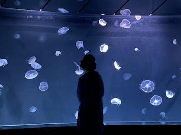 サンシャイン水族館に投稿された画像（2026/2/28）