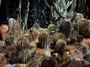 京都府立植物園　LIGHT CYCLES KYOTOに投稿された画像（2026/2/28）