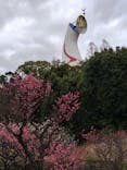 万博記念公園に投稿された画像（2026/2/28）