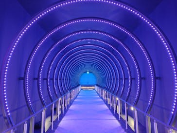 万博記念公園に投稿された画像（2026/2/28）