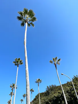 志摩スペイン村パルケエスパーニャに投稿された画像（2026/2/28）